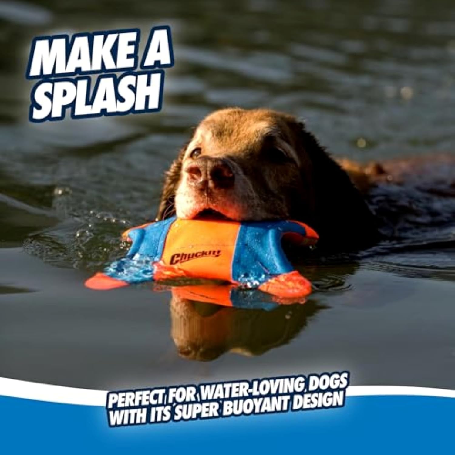 Chuckit! Flying Squirrel Canvas Fetch Dog Toy, Medium, 9.5in, for Water