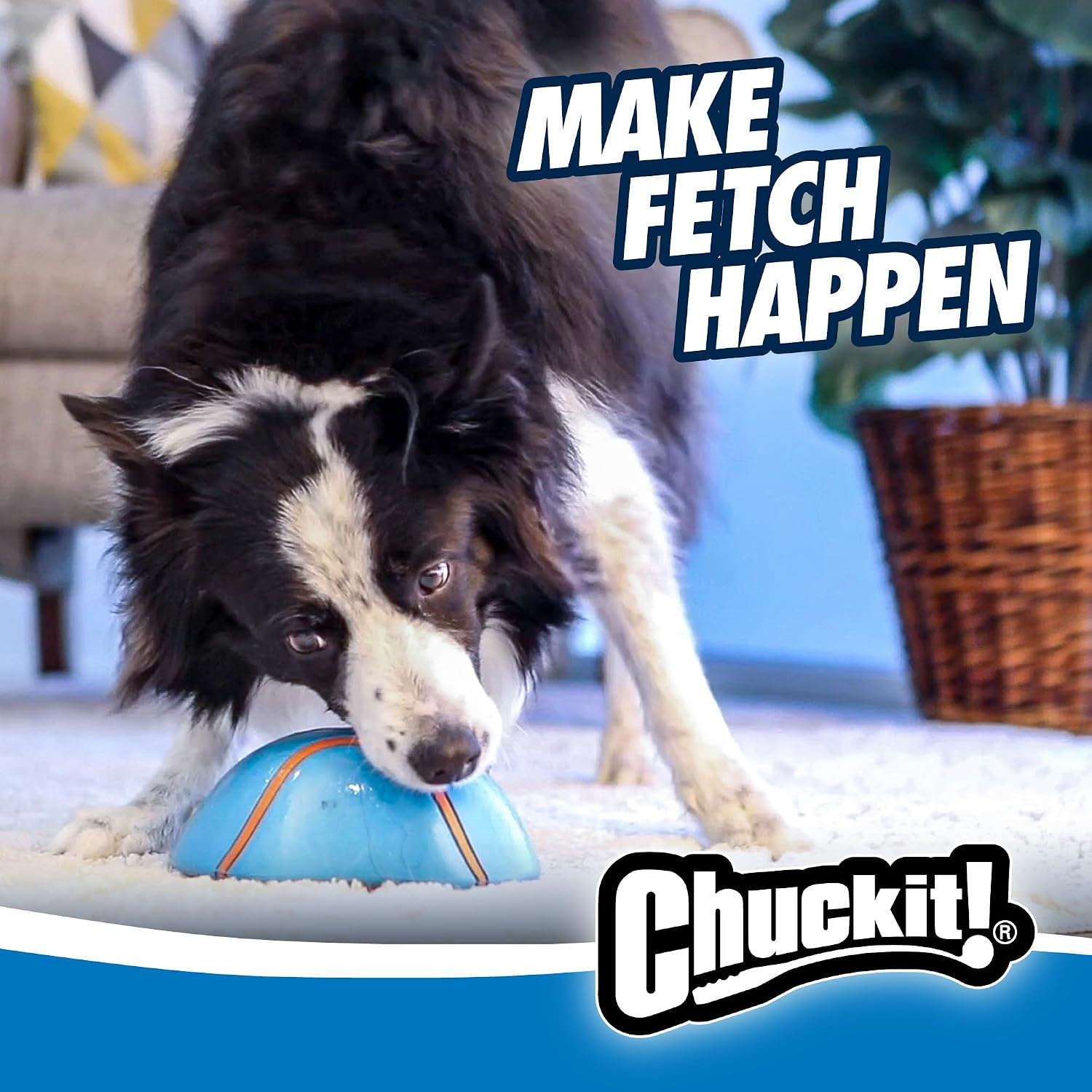 Chuckit! Indoor Super Slider Self-Fetch Squeaky Dog Toy, Durable Rubber