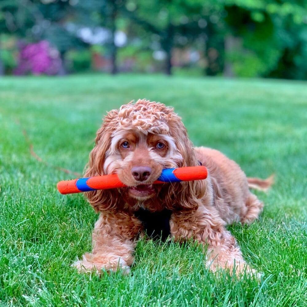 Chuckit! Ultra Fetch Stick Interactive Dog Toy, 12in, All Breeds UltraFetch Stick