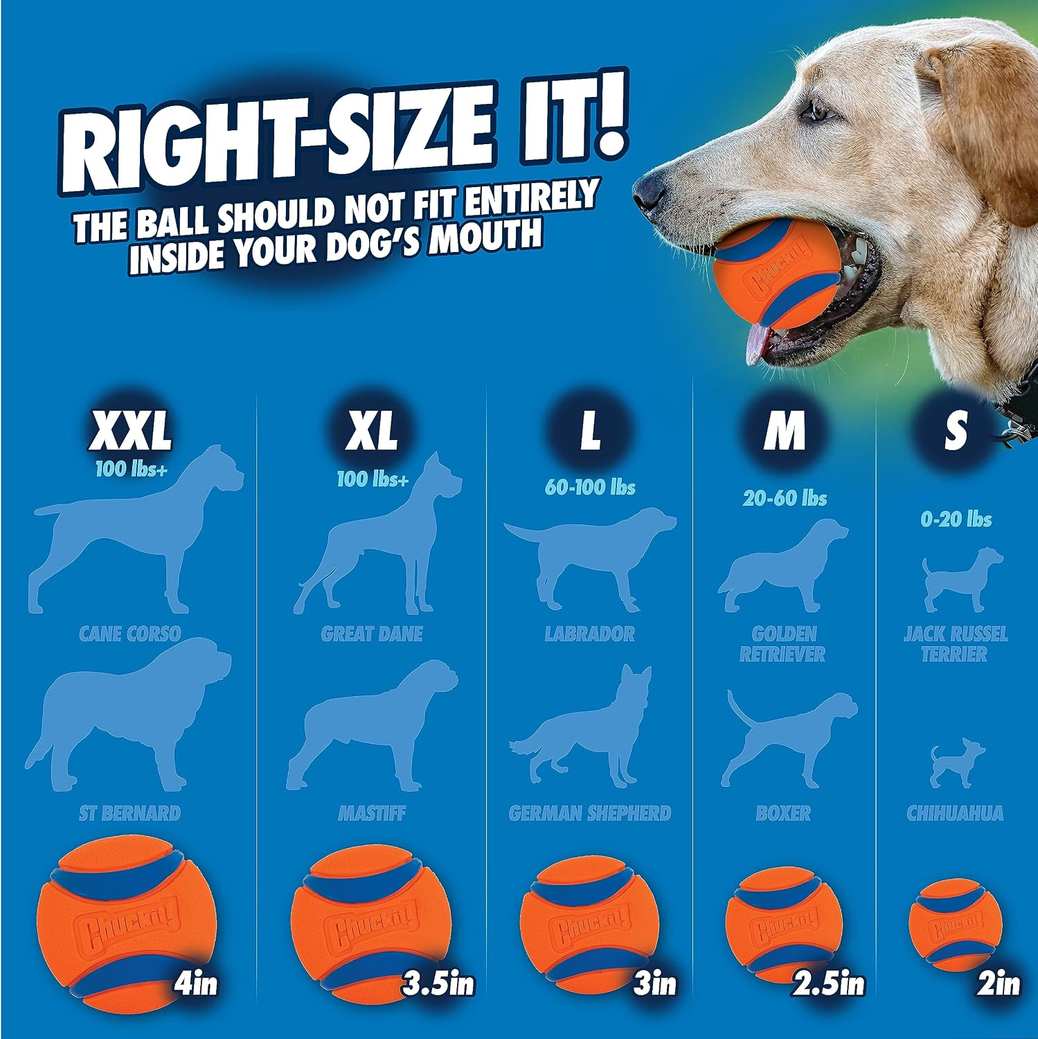 Chuckit! Sport 25M Dog Ball Launcher, 25in Length, Includes Medium Ball
