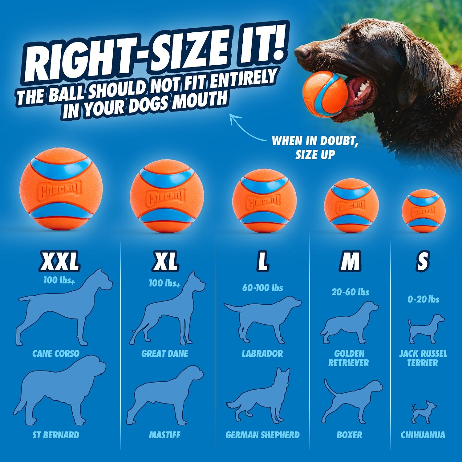 Chuckit! Sport 26L Dog Ball Launcher, 26in, Includes Large 3in Ball