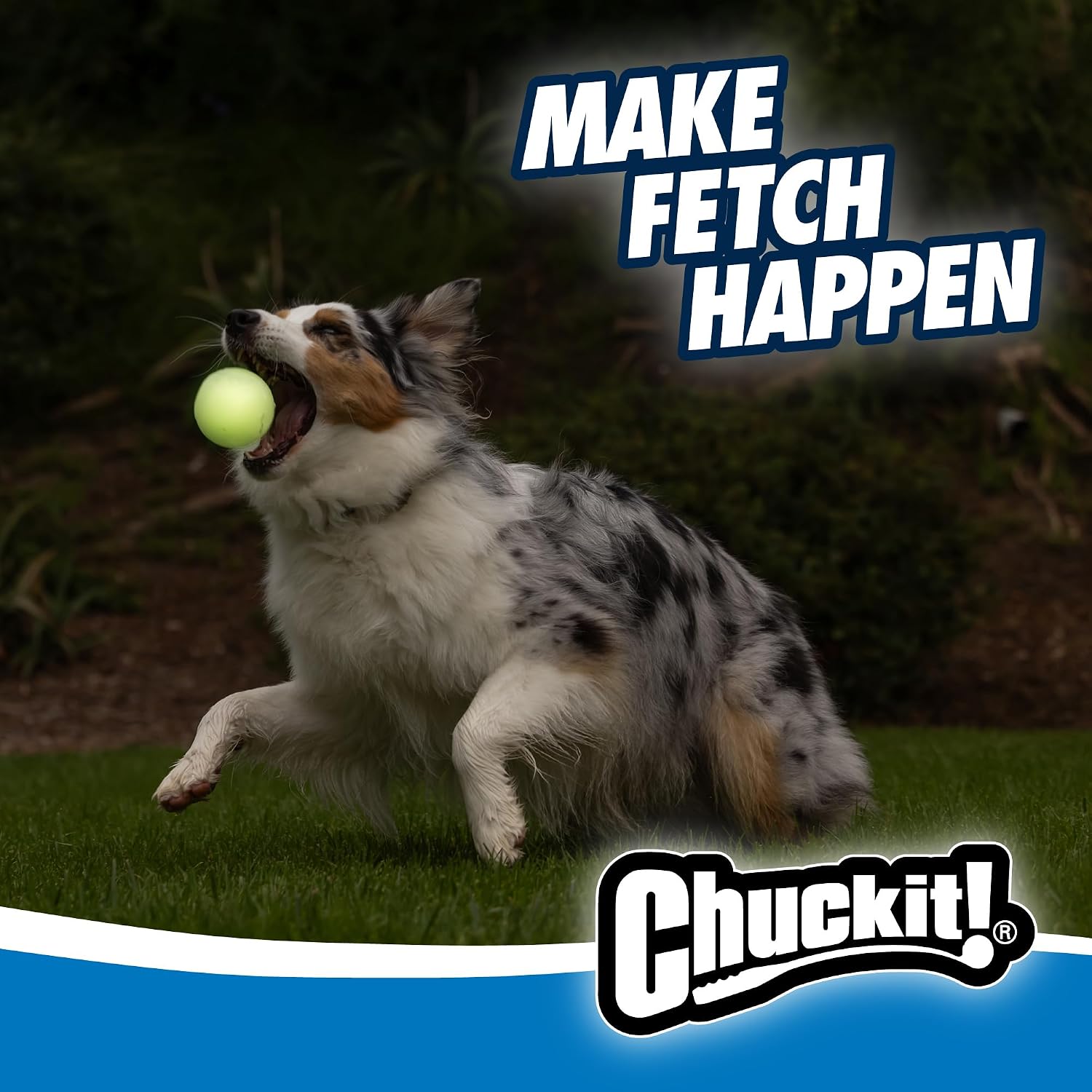Chuckit! Pro Fetch Launcher, Medium 25in, Includes Glow Ball