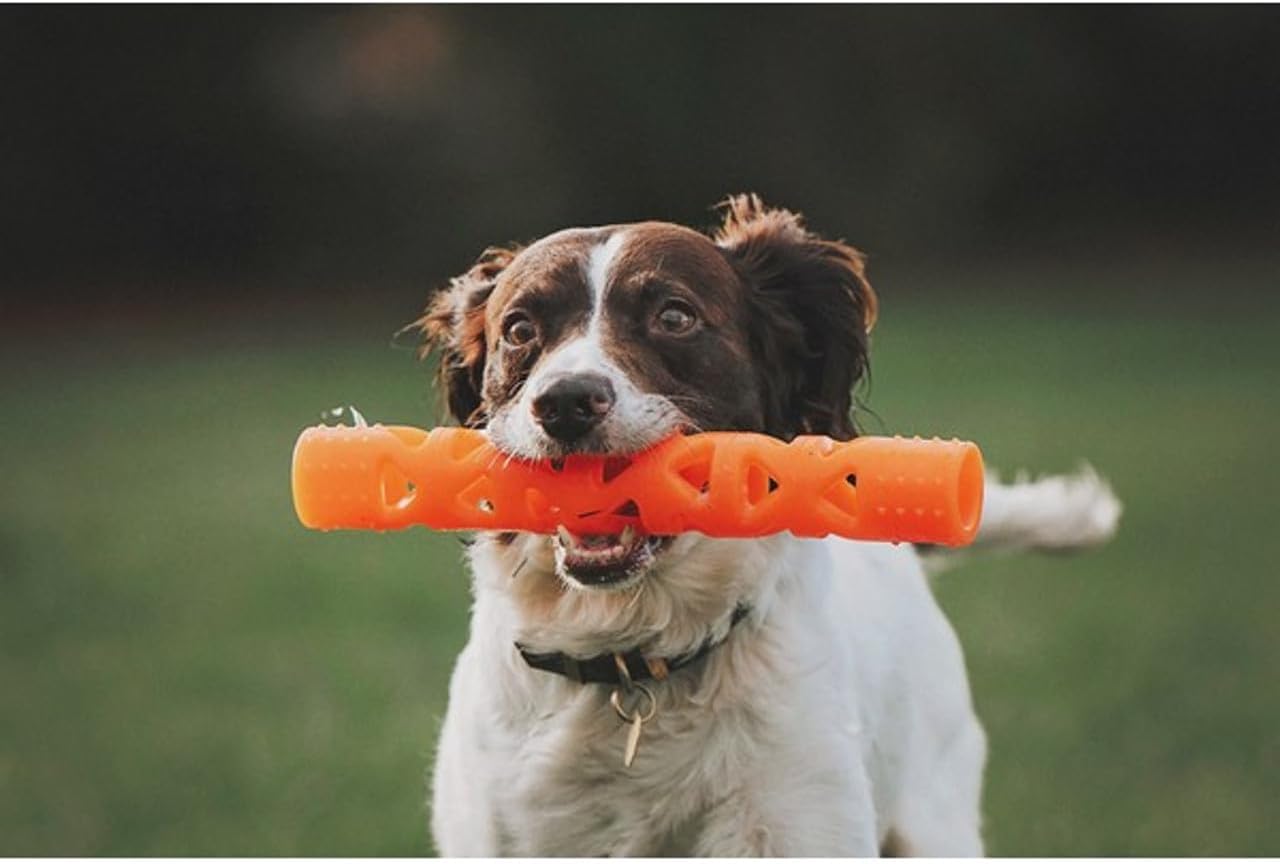 Chuckit! Air Fetch Stick Dog Toy, Small, Orange
