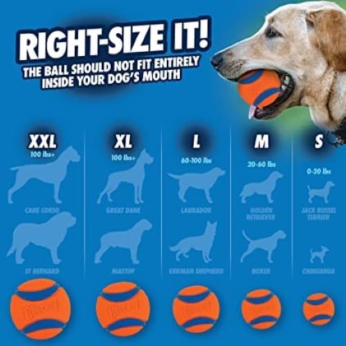 Chuckit! Dog Tennis Ball Dog Toy, Large 3in 1 Pack