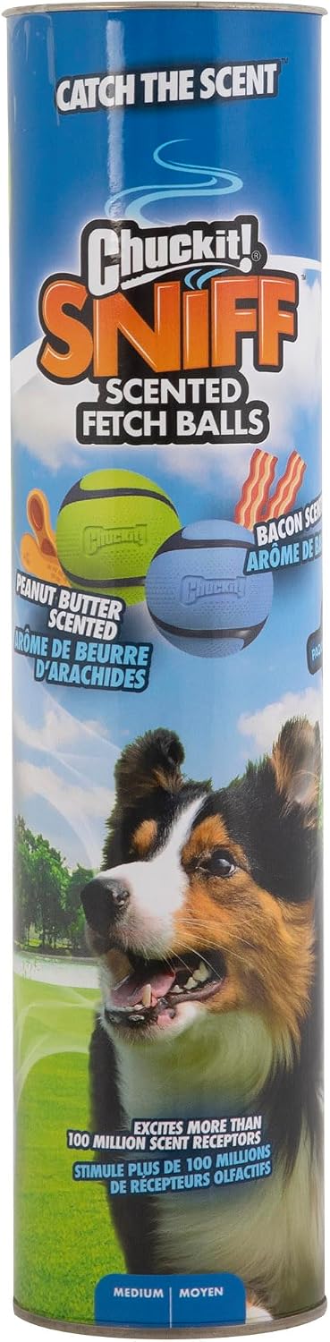 Chuckit! Sniff Fetch Balls Canister, 4 Pack, for Medium Dog Breeds Green/ Blue