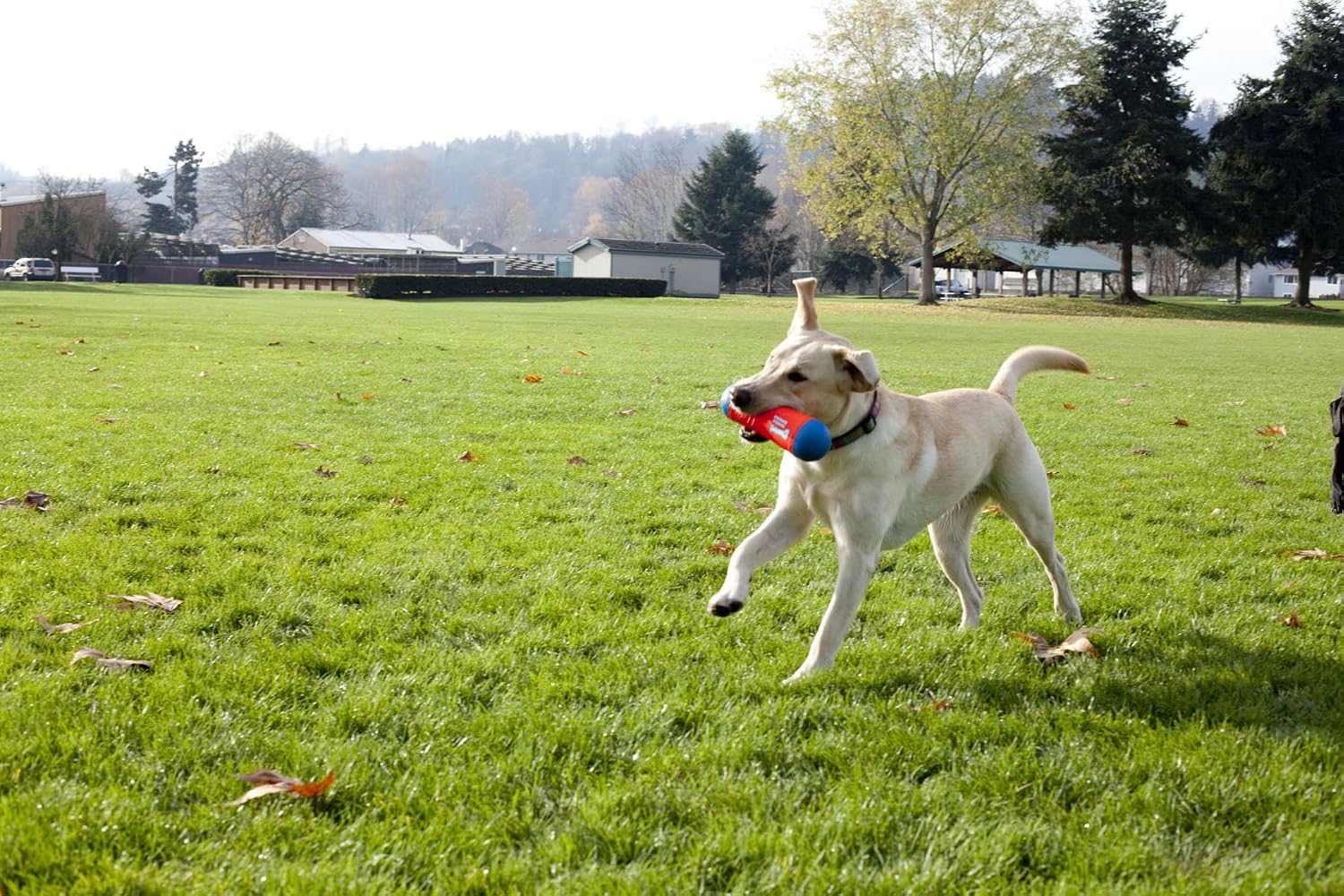 ChuckIt! Tumble Bumper Dog Toy, Medium