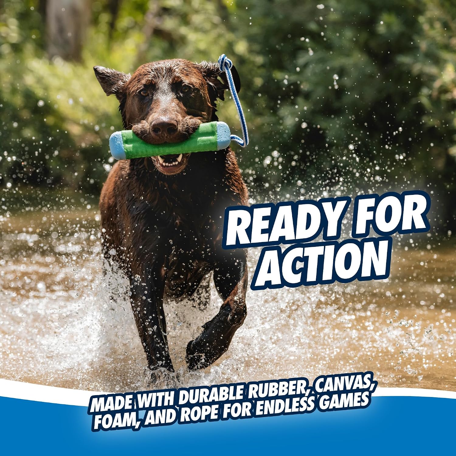 Chuckit! Amphibious Bumper Dog Fetch Toy, Small, Floats, for Water Play