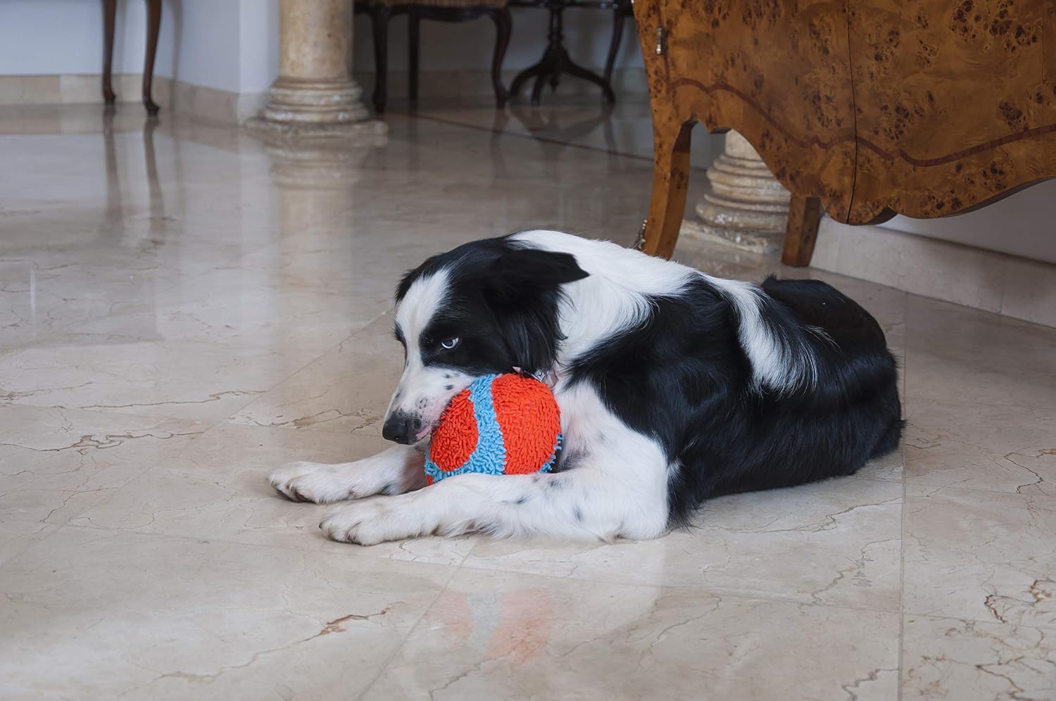 Chuckit! Indoor Fumbler Roller Dog Toy, Orange and Blue, 7.5in
