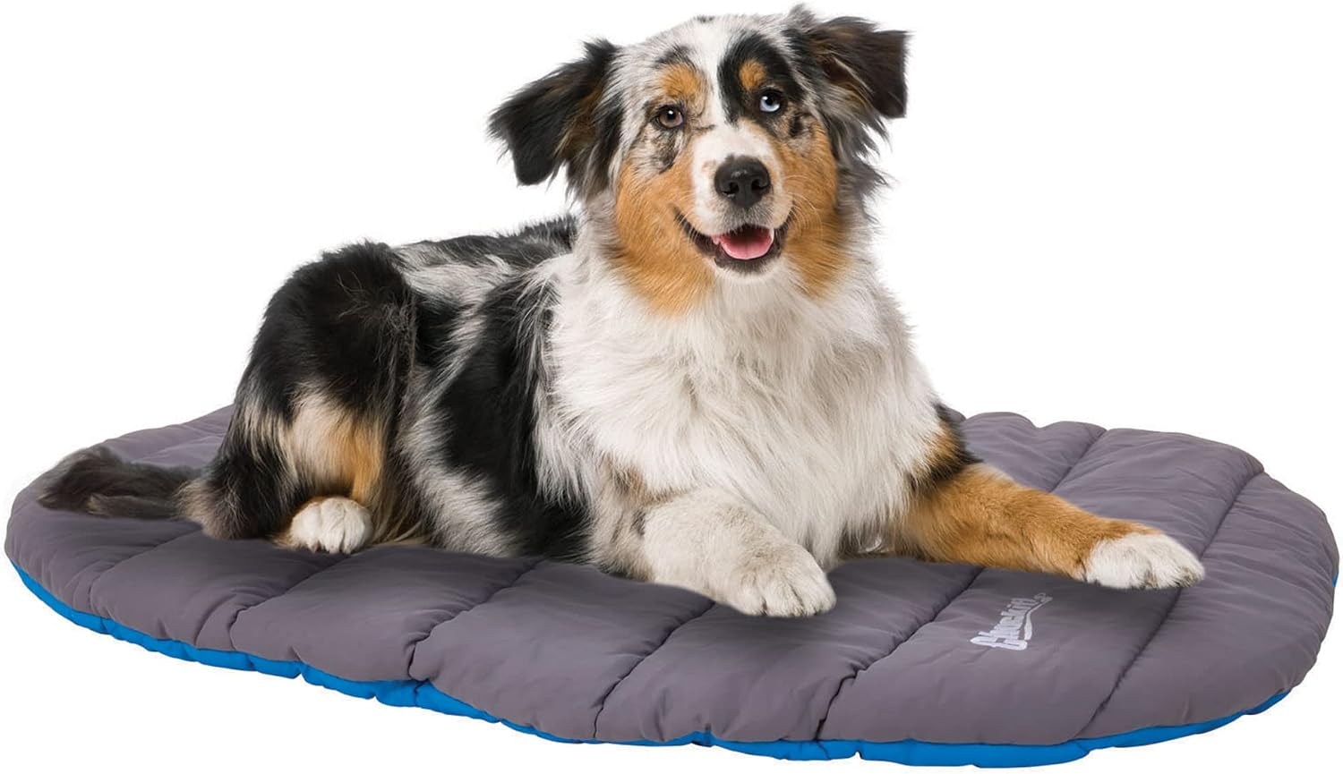 Chuckit! Travel Pillow Dog Bed, Water Resistant, Medium to Large Dogs