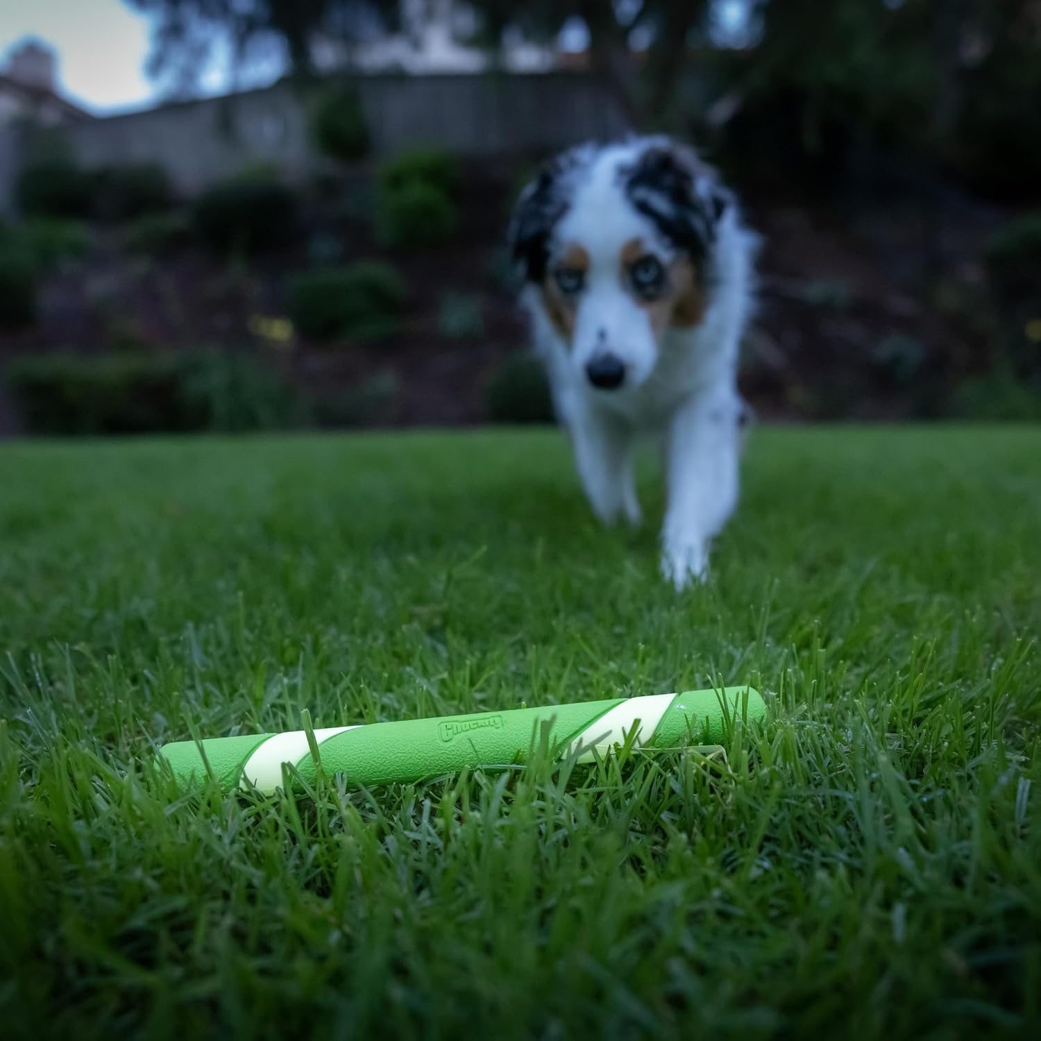 Chuckit! Max Glow Ultra Fetch Stick Dog Toy, 12in