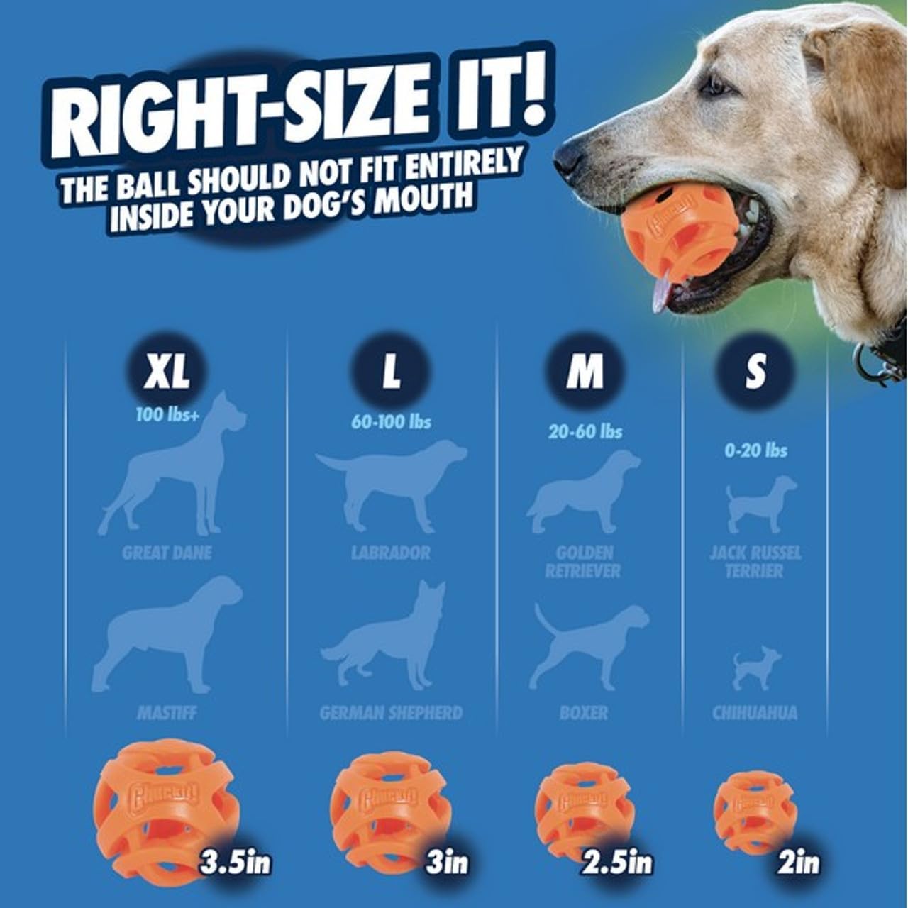Chuckit! Air Fetch Wheel Dog Toy, Orange Orange Fetch Wheel