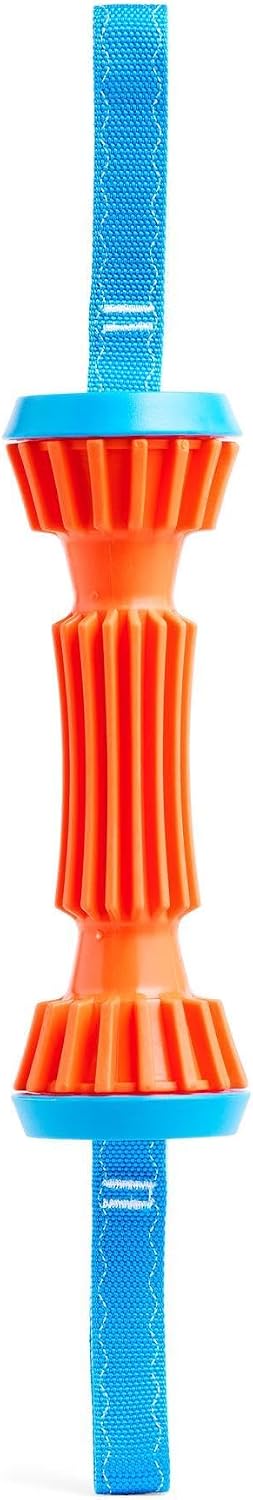 ChuckIt! Rugged Bumper Dog Toy, Small Multi-colored