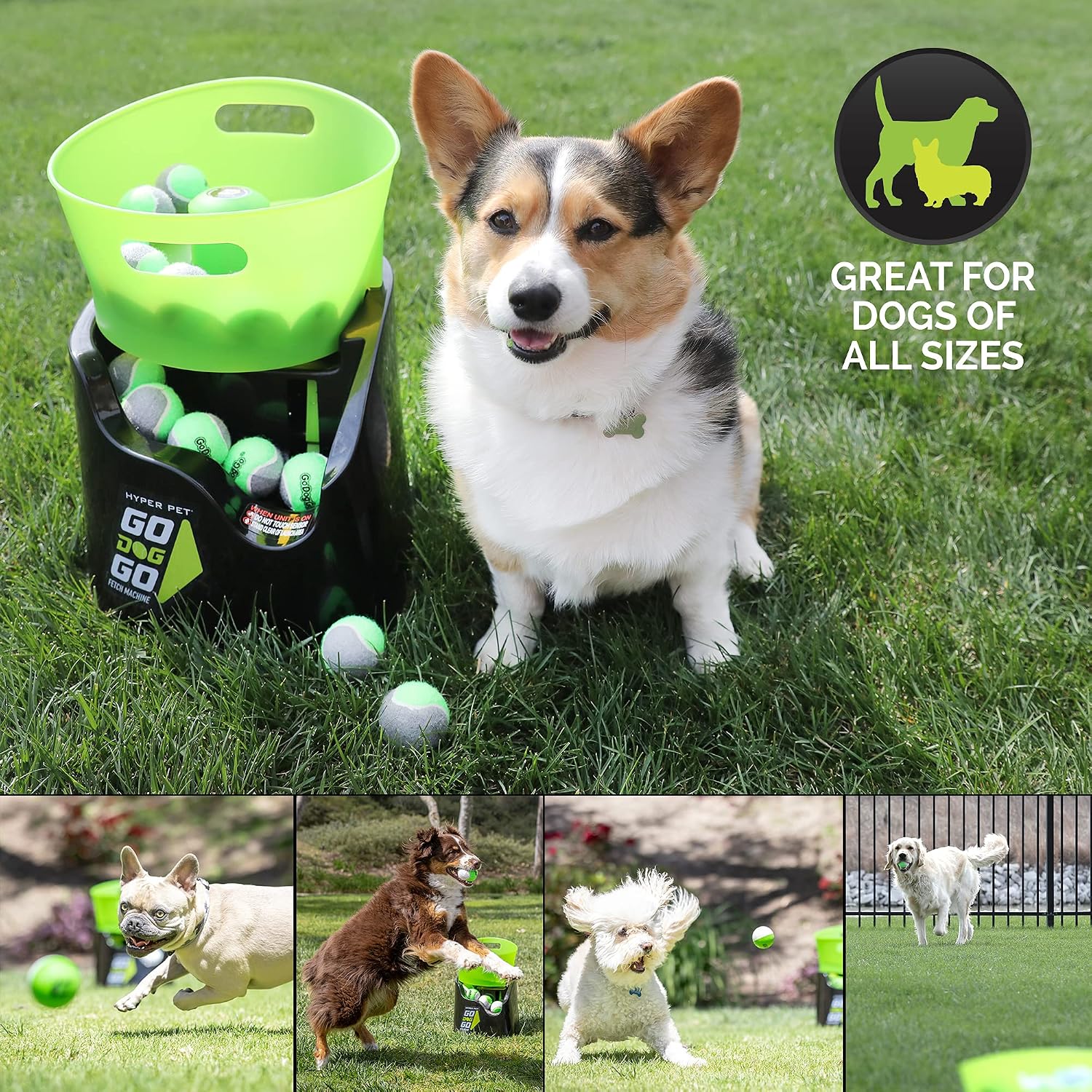 Hyper Pet GoDogGo Automatic Dog Ball Launcher, Includes 5 Balls, 20-60lbs