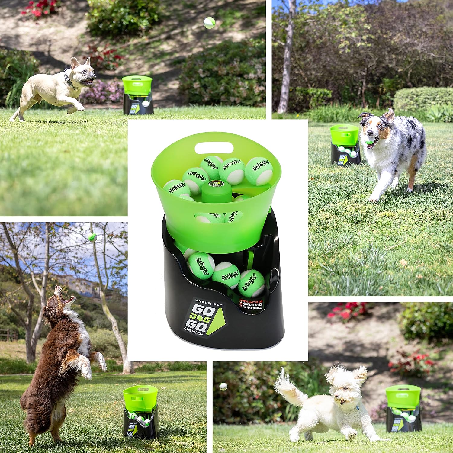 Hyper Pet GoDogGo Automatic Dog Ball Launcher, Includes 5 Balls, 20-60lbs