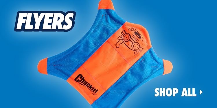 Chuckit | Complete Dog Fetch Play Collection – Puncture-Resistant, Mouth-Friendly, Floating & High Bounce - Chuckit Online Store