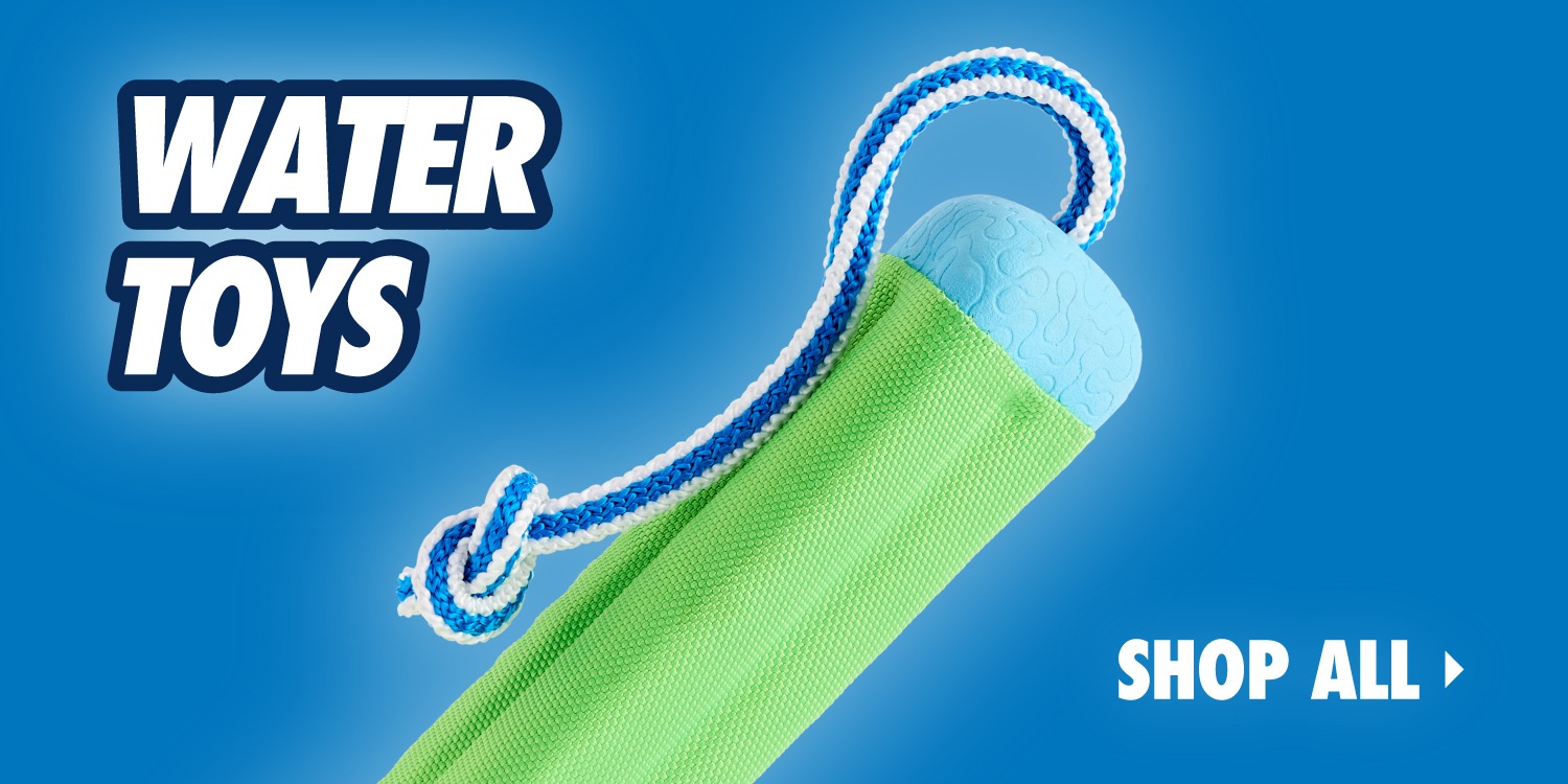 Chuckit | Complete Dog Fetch Play Collection – Puncture-Resistant, Mouth-Friendly, Floating & High Bounce - Chuckit Online Store