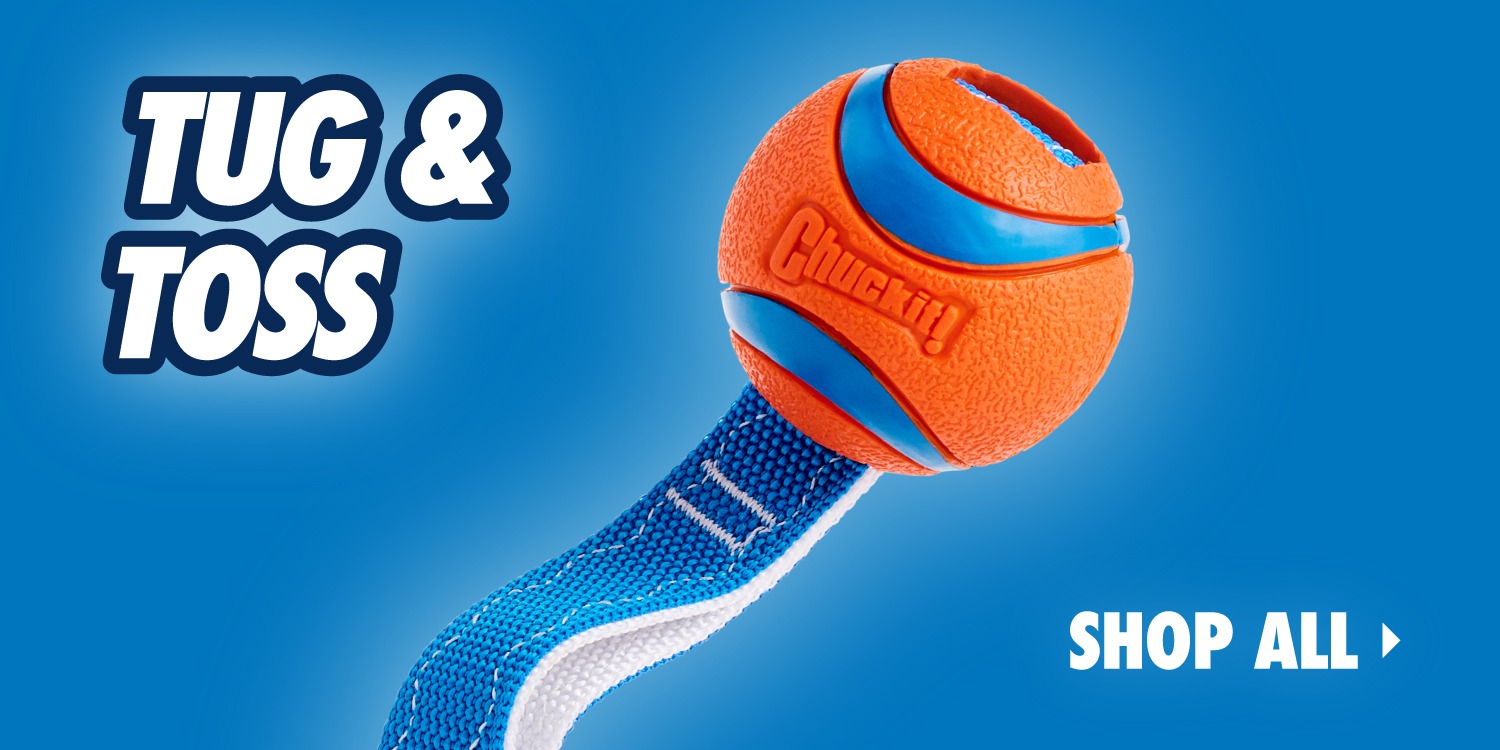 Chuckit | Complete Dog Fetch Play Collection – Puncture-Resistant, Mouth-Friendly, Floating & High Bounce - Chuckit Online Store