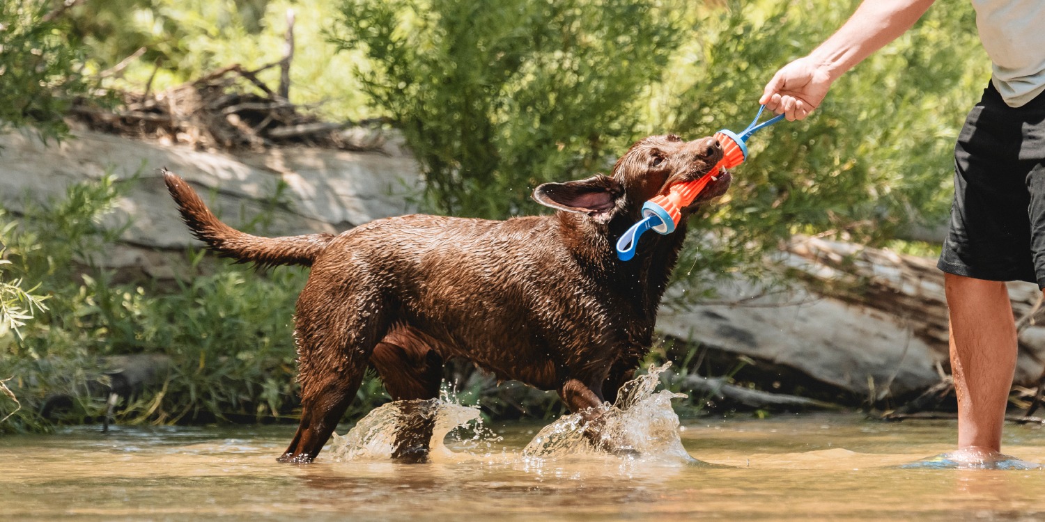 Chuckit | Complete Dog Fetch Play Collection – Puncture-Resistant, Mouth-Friendly, Floating & High Bounce - Chuckit Online Store
