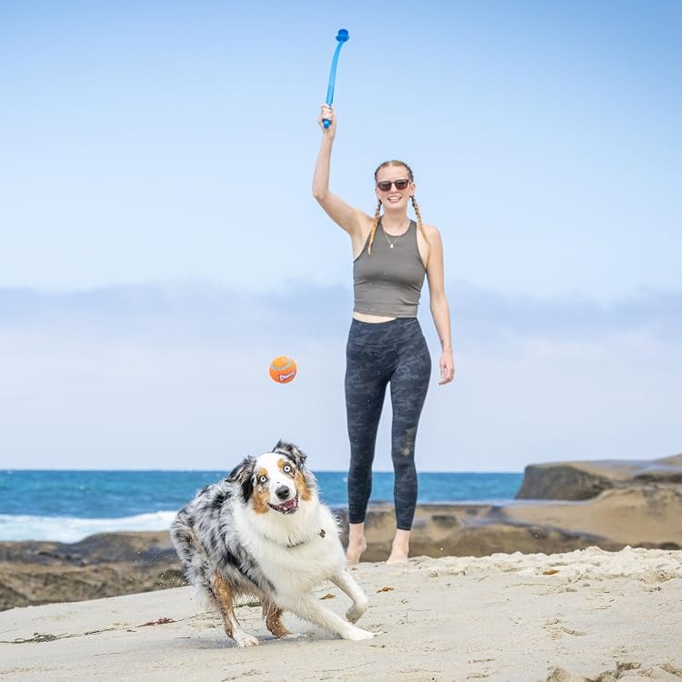 Chuckit | Complete Dog Fetch Play Collection – Puncture-Resistant, Mouth-Friendly, Floating & High Bounce - Chuckit Online Store